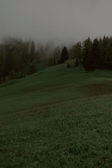 House In The Middle Of Nowhere, Dark Meadow, Meadows Aesthetic, Green Hour, What Is My Aesthetic, Forest Meadow, Forest Mist, Rural Photography, Grassy Meadow