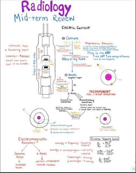 Radiology from I Love Veterinary Medicine FB Page Radtech Student, Vet Radiology, Vtne Study, Radiography Student, Rad Tech Student, Radiology Schools, Medical Radiography, Veterinary Nursing, Vet Tech School