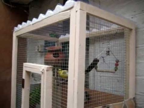 How to Make a Bird Cage. A bird is an enjoyable companion to have around. And you, as the pet's owner, need to provide your bird with everything it needs to live happily and healthily. One of those basic needs being a bird cage. Large... Bird Cage Ideas, Diy Bird Cage, Flight Cage, Make A Bird, Pet Bird Cage, Large Bird Cages, Bird House Kits, Bird Aviary, Parrot Cage