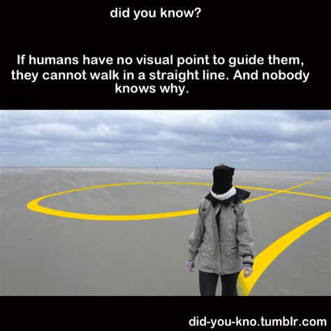 humans cannot walk in a straight line without... Person Walking, Fun Fact Friday, Strange Facts, Visual Reference, Wow Facts, Weird Science, Random Facts, Science Facts, Interesting Information