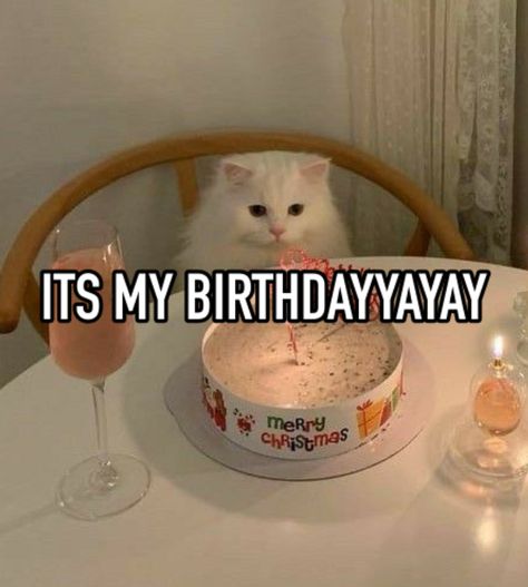 #whisper #birthday Birthday Whisper, Cute Diary, Relatable Whispers, Cat Birthday, Cat Tattoo, Its My Birthday, My Birthday, Dear Diary, Birthday Ideas