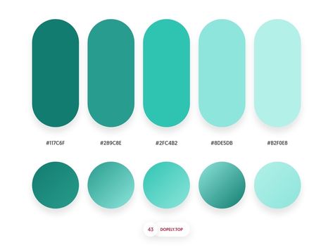 Flat Color Palette, Gradient Color Design, Upgrade Your Life, Website Color Palette, Hex Color Palette, Pharmacy Design, Brand Color Palette, Color Palette Design, Hex Colors