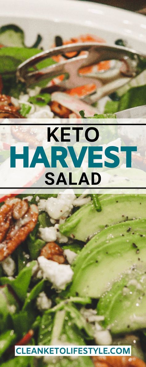 Keto Fall Salad Recipes, Healthy Keto Salads, Keto Holiday Side Dishes, Keto Green Salad, Low Carb Salads Healthy, Keto Thanksgiving Appetizers, Keto Asian Salad, Keto Spinach Salad, Antipasto Recipe