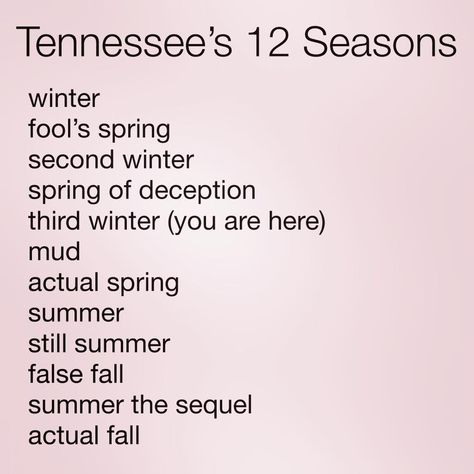 Tennessee’s 12 seasons Tennessee Memes Funny, Weather Jokes, Quote Work, Tennessee Girls, When All Else Fails, Bee Stuff, Work Hard In Silence, St Benedict, East Tennessee