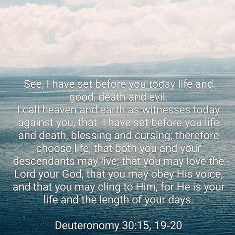 Deuteronomy 30:19-20, Deuteronomy 30, Inspirational Scriptures, Christians Quotes, Truth Serum, Inspirational Scripture, Prayer Warrior, Scripture Quotes, Heaven On Earth