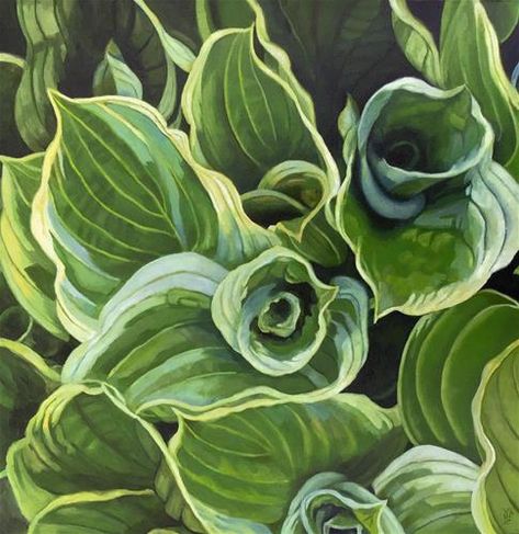 Daily Paintworks - "Hosta" - Original Fine Art for Sale - © Rebecca Ives Hosta Leaves, Hosta Botanical Illustration, Hosta Abiqua Drinking Gourd, Hosta Sagae, Hosta Praying Hands, Hosta First Frost, Gallery Website, Chalk Pastels, Fine Art Gallery