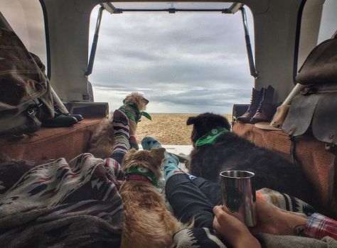 We get by with a little help from our friends. Our stainless steel camping mugs are back! Shop at [link in bio] #campingwithdogs @nancythebeat Blanket Weather, Winter Camping Gear, Camping With Dogs, Yosemite Camping, Camping For Beginners, Dog Water Bowls, Hiking Dogs, Muddy Paws, Camping Checklist