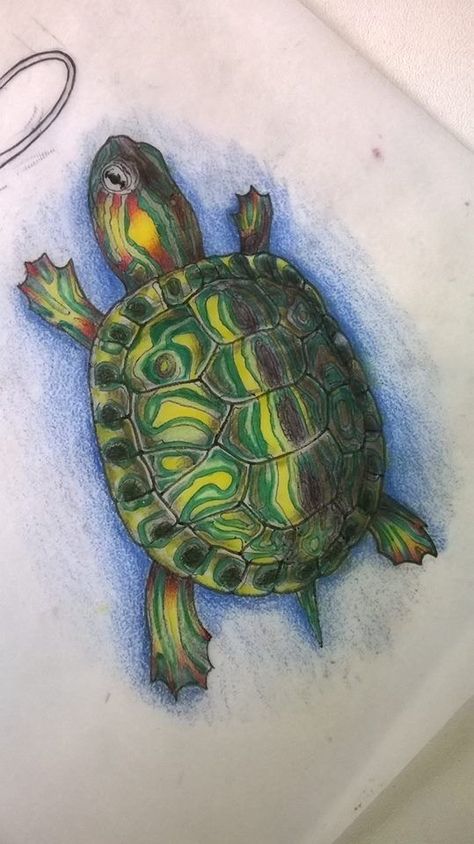 Sea Turtle Hatching Drawing, Turtle Pastel Drawing, Turtle Drawing Tutorial, Turtle Drawing Color, Painted Turtle Tattoo, Turtles Drawing, Draw A Turtle, Tortoise Drawing, Turtle Sketch