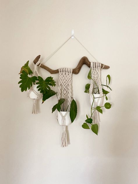 plant, driftwood, macrame Drift Wood Macrame Wall Hanging, Driftwood Macrame Plant Hanger, Driftwood Plant Hanger, Driftwood Macrame Wall Hanging, Macrame Driftwood, Creative Vibes, Driftwood Macrame, Driftwood Diy, Driftwood Projects