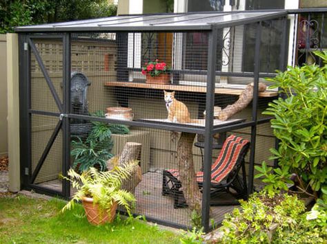 Catios are secure outdoor enclosures for your cat to enjoy. If you're looking to keep your cat safe while he spends time outside, find out more here. Catio Plans, Katt Diy, Chat Diy, Kat Diy, Cat Area, Cat Patio, Outdoor Cat Enclosure, Cat Run, Cat Cages