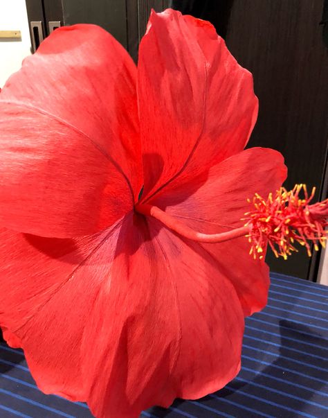 Crepe paper giant hibiscus 🌺🌺🌺 Giant Paper Hibiscus Flowers Diy, Giant Tropical Paper Flowers Diy, Fabric Hibiscus Flower, Malaysian Flag, Tropical Wedding Centerpieces, Paper Roses Diy, Crepe Paper Flowers Diy, Boy Baby Shower Centerpieces, Tropical Floral Arrangements