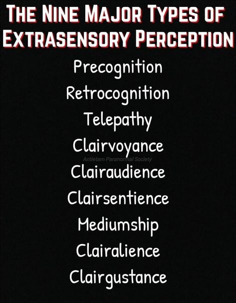 Paranormal Devices, Paranormal Activity 4, Paranormal Investigator, Apparitions Paranormal, Paranormal Research, Paranormal Stories, Paranormal Investigation, Ghost Hunting, Haunted Places