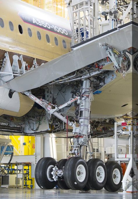 The Airbus A350-1000's triple bogie  main landing gear. The -1000 main gear is similar to that of the Airbus A380 body gear and to that of the Boeing 777 family. IIRC, the A350-1000's main gear doesn't have steerable aft axle, like that of the 777, and is also not semi-levered, as is the case with the 777-300ER. These features are apparently not necessary on the A350-1000. Aircraft Landing Gear, Wiking Autos, 777 300er, Airbus A350, Commercial Plane, Pilots Aviation, Airplane Photography, Passenger Aircraft, Airbus A380