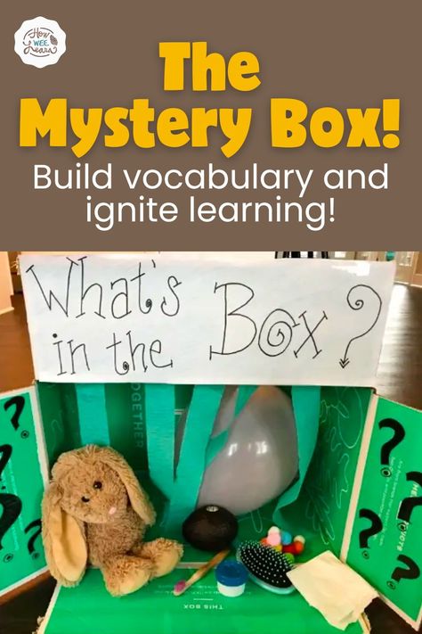 Sensory Mystery Boxes, Preschool Mystery Box Ideas, Whats In The Box Game Ideas For Kids, Box Unit Preschool, Guess Whats In The Box Game, Whats In The Box Game, Mystery Box Ideas For Kids, Mystery Box Game, Mystery Box For Kids