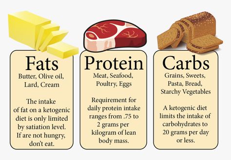 Types Of Carbohydrates, Fat Food, Egg Pasta, Starchy Vegetables, Food Png, Types Of Vegetables, Types Of Food, Png Download, Transparent Png