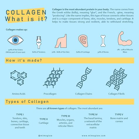 Collagen is the main structural protein found in skin and other connective tissues and it is also widely used in cosmetics and/or skincare products. . . . . . . . . . . #Mimoglow #skincareapp #skincareapps #skincareapplication #skincareapp #collagen #whatiscollagen #skincareinfographic #skincareinfographics #collagenprotein #collagenforskin #typesofcollagen #themoreyouknow #themoreyouknowthemoreyougrow #themoreyouknow🌈 #themoreyouknow💫 Collagen Infographic, Skincare App, Skincare Infographic, What Is Collagen, Tissue Types, Skin Advice, Tracking App, Collagen Protein, Homemade Beauty