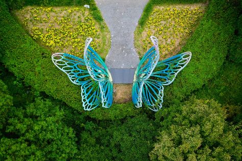 Chinese love story: 'The Butterfly Lovers' - CGTN Butterfly Lovers Chinese, The Pursuit Of Love, Pursuit Of Love, Jin Dynasty, The Hope, Folk Tales, Ancient Chinese, Colorful Butterflies, Nature Pictures