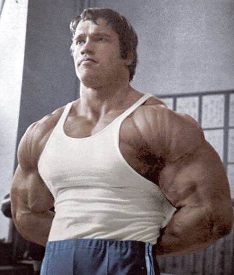 @bodybuilding70s on Instagram: “@schwarzenegger 1971 . #bodybuilding #bodybuilding70s #schwarzenegger #arnoldschwarzenegger #muscle #fitness #health #gym” 70s Bodybuilding, Sam Sulek, Arnold Workout, Arnold Bodybuilding, Old Bodybuilder, Arnold Schwarzenegger Bodybuilding, Schwarzenegger Bodybuilding, Aesthetics Bodybuilding, Bodybuilding Pictures