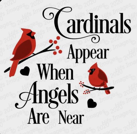 In Loving Memory Svg, Remembrance Quotes, Cardinal Memorial, Lantern Svg, Memorial Lanterns, Thinking Of You Today, Holiday Birds, Christmas Lantern, Christmas In Heaven