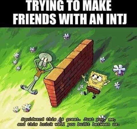 Making friends with an INTJ (MBTI memes) Intj Humor, Personalidad Enfp, Intj Women, Intj T, Intj And Infj, Intj Intp, Intj Personality, Myers Briggs Personality Types, Great Memes