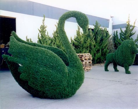 Topiary Animals, Urban Gardening Ideas, Modern Backyard Design, Outdoor Topiary, Topiary Diy, Topiary Garden, Topiary Trees, Urban Gardening, Topiaries