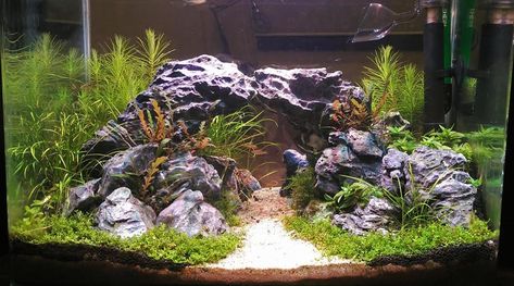 Separating sand from aquasoil areas - The 2Hr Aquarist Aquarium Substrate Ideas, Aquarium Hardscape Ideas, Planted Aquarium Ideas, Hardscape Aquarium, Shrimp Tanks, Aquarium Hardscape, Aquarium Inspiration, Aquascape Ideas, Plant Aquarium