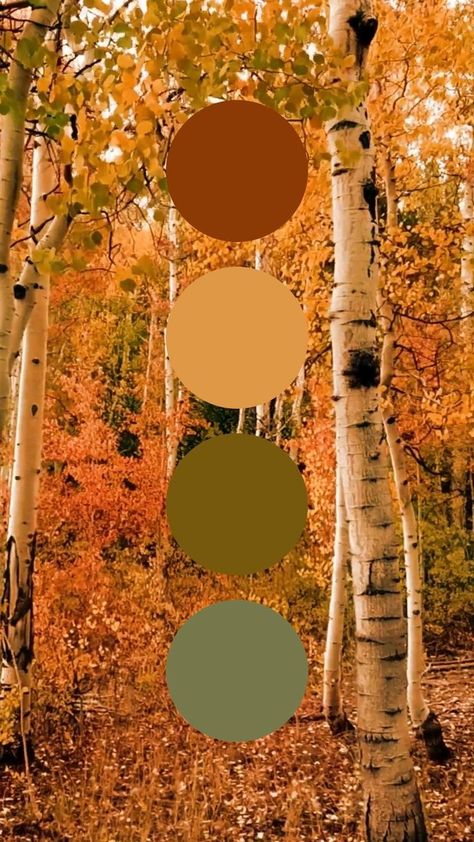 Picture Color Schemes, Color Palette Fall, Autumn Colour Palette, Fall Color Pallet, Burgundy Colour Palette, Color Palette Inspiration, Fall Colours, Red Colour Palette, Brown Color Palette