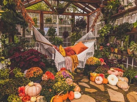 🌿 House of Plants 🌿 on Instagram: “Digging this fall setup at the greenhouse. 🎃 //📸 @vaughanhousegreenhouse” Lowes Plants, Tiny Wedding Venues, Rock Path, Backyard Dreams, Build A Greenhouse, Home Greenhouse, Tiny Wedding, Virginia Wedding Venues, Greenhouse Plans