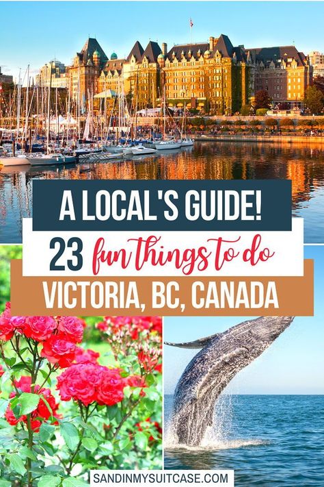 What to do in Victoria, BC? See these 23 best things to do in Victoria, BC -- from a local. We live here. And we know the best places to see in Victoria, BC, and the best activities. | Attractions in Victoria, Canada | Things to see in Victoria, BC | #VictoriaBC #Canada #thingstodo #placestosee Victoria Canada British Columbia Travel, Visiting Victoria Bc, Victoria Things To Do, One Day In Victoria Bc, What To Do In Victoria Bc, Victoria British Columbia Things To Do, Victoria Canada Things To Do In, Things To Do In Victoria Bc, Victoria Bc Canada Things To Do