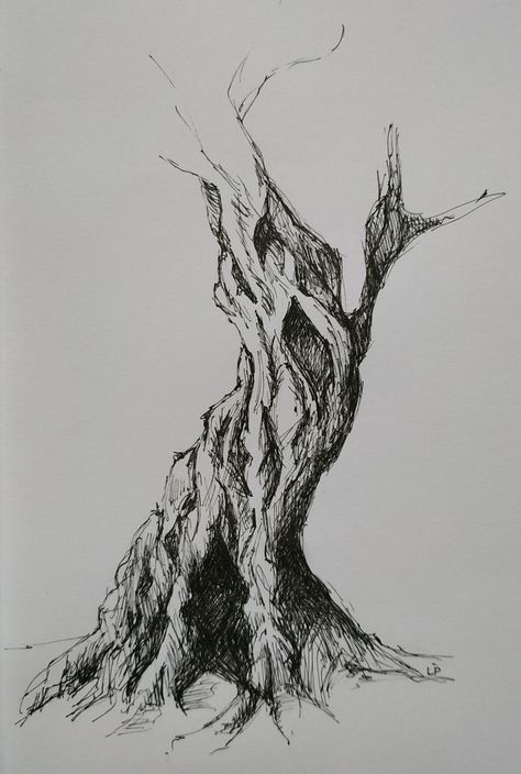 Tree Ink Sketch, Nature Pen Art Ink Drawings, Ink And Pencil Drawing, Ink Trees Drawing, Trees Pen Drawing, Ink Nature Drawing, Ink Drawing Tree, Nature Ink Drawing, Nature Pen Art