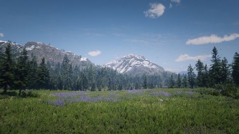 Rdr2 landscape Rdr2 Landscape, Rdr2 Scenery, Bf Core, Red Dead, Red Dead Redemption, Art References, Nature Beauty, Art Reference, Paint