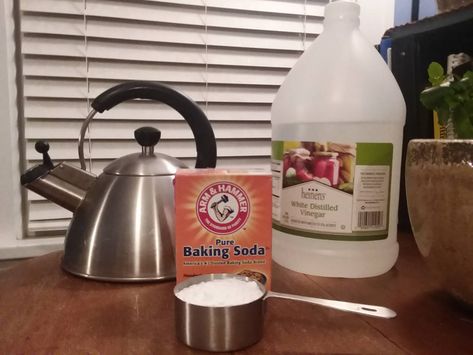 How To Clean A Tea Kettle, Clean Tea Kettle, How To Clean A Kettle Inside, Soda Nails, Clean Kettle, Stainless Steel Kettle, How To Clean Rust, Tea Kettles, The Human Mind