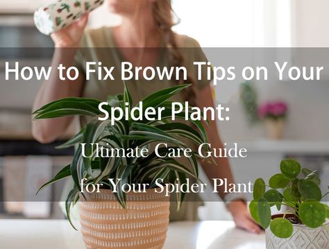 How to Fix Brown Tips on Your Spider Plant: Ultimate Care Guide for Your Spider Plant Spider Plant Brown Tips, Spider Plant Care, Brown Tips, Spider Plant, Grow Tent, Plant Health, Spider Plants, Led Grow, Led Grow Lights