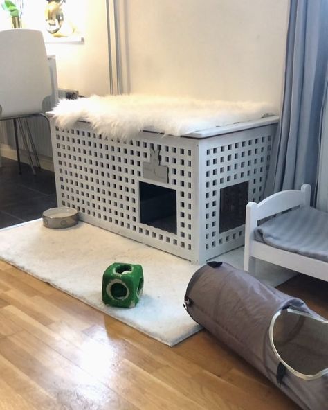 Our bunny setup! 🏡🐰 Most of you already know our setup but some of our new followers might find this informative. - We use a HOL furniture… Bunny Setup, Rabbit Playpen, Indoor Rabbit House, Bunny Rabbit Crafts, Diy Bunny Toys, Rabbit Hutch Indoor, Rabbit Room, Indoor Rabbit Cage, House Bunny