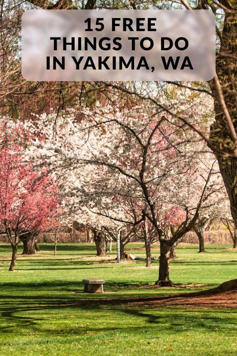 Discover the free things to do in Yakima, WA, including Yakima Valley Visitor Information Center, Cowiche Canyon, Yakima Sportsman State Park, and more! Yakima Valley, Shady Tree, Oregon Travel, Information Center, Free Things To Do, Nature Trail, Free Things, Summer Sunset, State Park