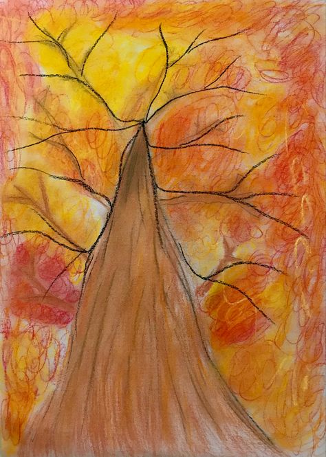 Beautiful tree drawings using soft pastel showing perspective. Oil Pastel Drawings, Oil Pastel Art, Tree Oil, Tree Drawing, Pastel Drawing, Pastel Art, Beautiful Tree, Soft Pastel, Oil Pastel