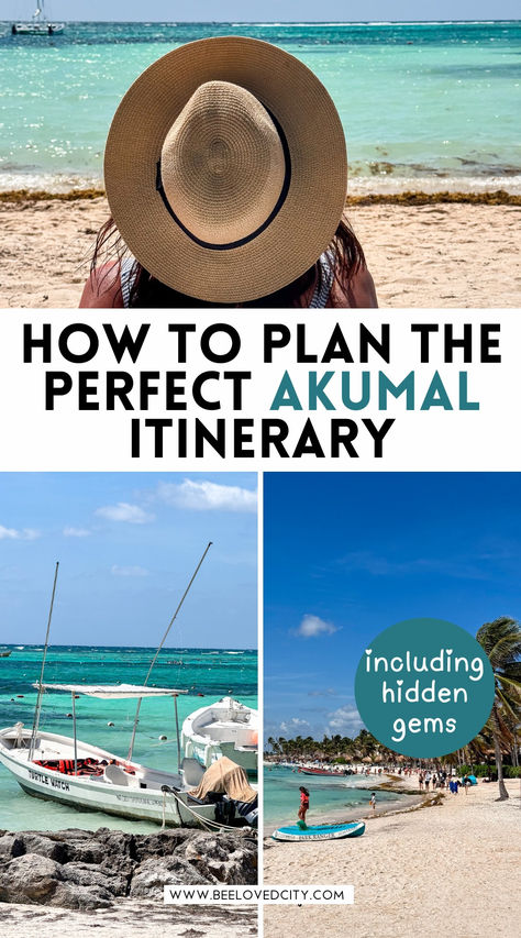 Planning a trip to Akumal, Mexico? This itinerary covers the best things to do, from swimming with turtles at Akumal Beach to snorkeling in crystal-clear waters. Discover the beauty of Secrets Akumal Riviera Maya and explore nearby gems like Playa del Carmen. Whether you’re relaxing on the beach or diving into underwater adventures, this guide has you covered for the perfect Riviera Maya getaway! 🌴✨ #AkumalMexico #SwimWithTurtles #RivieraMayaTravel Akumal Mexico Things To Do, Mexico Spring Break, Spring Break Mexico, Secrets Akumal Riviera Maya, Swimming With Turtles, Swim With Turtles, Akumal Beach, History Of Mexico, Usa Culture