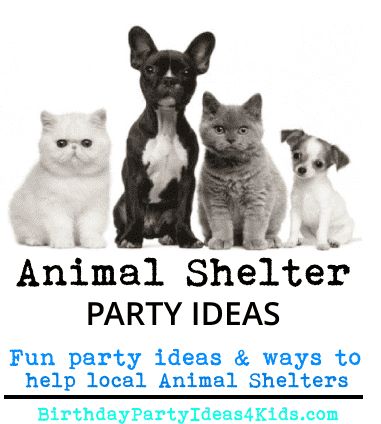 animal shelter party ideas for charity birthday Animal Rescue Party Ideas, Animal Rescue Booth Ideas, Animal Rescue Birthday Party Ideas, Birthday Fundraiser Ideas, Non Profit Fundraising Ideas Animal Rescue, Animal Fundraiser Ideas, Charity Birthday Party Ideas, Animal Rescue Birthday Party, Pet Rescue Birthday Party