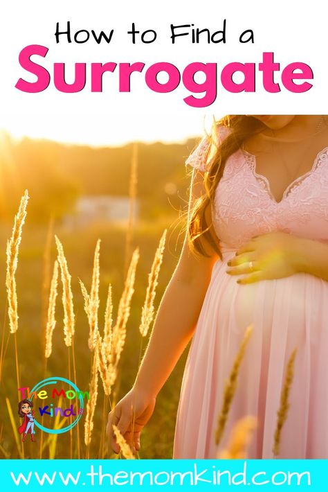 Finding A Surrogate, Intentional Motherhood, Preschool Activities At Home, Family Bible Study, Homeschool Preschool Curriculum, Motherhood Encouragement, Surrogate Mother, Egg Donation, Better Mom