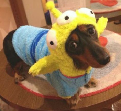 Love love Dog Alien Costume, Alien Dog Costume, Toy Story Dog Costume, Monsters Inc Onesie, Diy Customes Halloween, Aliens Costume, Disney Dog Costume, Toy Story Alien Costume, Toy Story Aliens