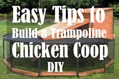 Easy Tips to Build a Trampoline Chicken Coop DIY Trampoline Chicken Tractor, Trampoline Chicken Coop Diy, Trampoline Chicken Coop, Chicken Coop Diy, Vegtable Garden, Chicken Tractors, Chicken Coup, Chicken Feeders, Chicken Tractor