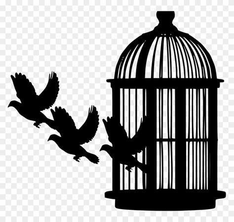 Bird In A Cage, Bird Free, Luke Cage, Silhouette Png, Beautiful Landscape Wallpaper, Landscape Wallpaper, Bird Cage, Png Transparent, Transparent Png