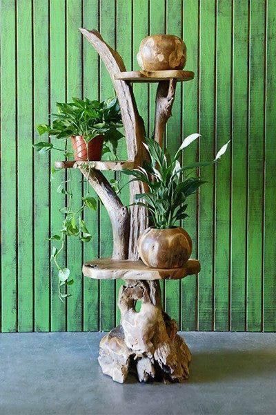 Teak Shelves, Driftwood Shelf, Driftwood Furniture, Driftwood Diy, Driftwood Lamp, نباتات منزلية, Driftwood Projects, Deco Nature, Driftwood Decor