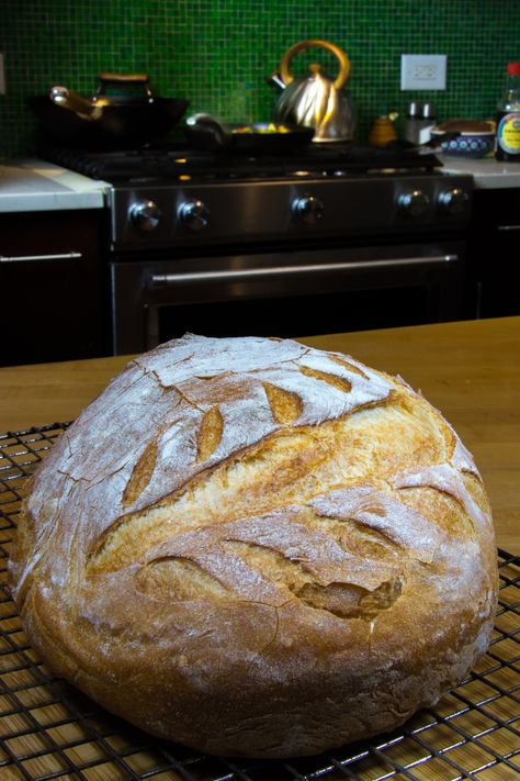 Two Hour Artisan Bread -Easy Fast Bread Recipe - Clove and Cumin Easy Fast Bread Recipe, Fast Bread Recipe, Artisan Bread Dutch Oven, Garlic Rosemary Bread, Fastest Bread Recipe, Boule Bread, Artisan Bread Recipe, Fast Bread, Crusty Bread Recipe