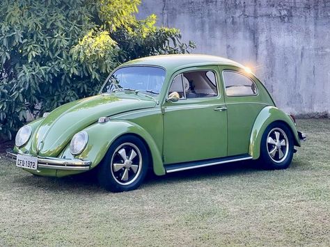 Slug Bug, Pretty Cars, Slug, Love Bugs, Bugs, Volkswagen, Cars Trucks, Cars, Quick Saves