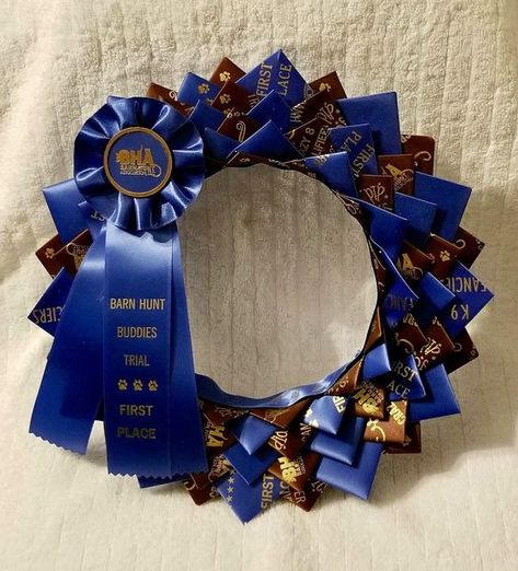 Uses for Dog Show ribbons Fair Ribbon Crafts, Ribbon Display Ideas, Award Ribbon Display, Ribbon Quilts, Horse Ribbon Display, Horse Awards, Show Ribbon Display, Dog Ribbon, Horse Items