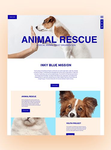 Animal Shelter Website Design, Animal Website, Pet Website Design, Nonprofit Website Design, Nonprofit Website, 블로그 디자인, Organization Development, Pet Branding, Ui Design Website