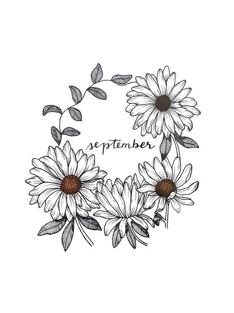 September Flower Drawing, September Birth Tattoo, September Birth Flower Aster, September Birth Flower Tattoo, September Flower, Simple Line Tattoo, September Birth Flower, Ella Rose, Ornament Flower