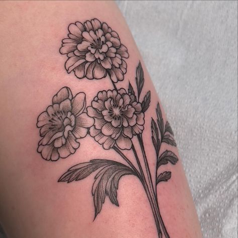 Custom marigolds with some cute little cut stems 🌟 * * * * #tattoo #tattooartist #tattooideas #blackworktattoo #blackworktattooartist #blackworktattoos #lineworktattoo #lineworktattoos #chicagotattooartist #chicagotattoo #flashtattoo Marigold Flower Tattoo Black And White, Marigold Tattoos, Flower Tattoo Black And White, Marigold Flower Tattoo, Flower Tattoo Black, Marigold Tattoo, Tattoo Black And White, Chicago Tattoo, Tattoo Black