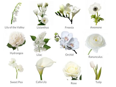 Cheat Sheets to Spring Wedding Flowers - WeddingPlanner.co.uk May Wedding Flowers In Season Uk, March Wedding Uk, Cheap White Flowers For Wedding, March Wedding Flowers Uk, Wedding Flowers May Uk, Types Of White Wedding Flowers, June Seasonal Flowers, White Flowers Types, Spring Wedding Flowers Uk